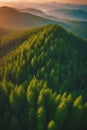 a amazing forest landscape aerial view mountains on horizon sunset amzing sunrise gen ai Royalty Free Stock Photo