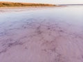 Amazing forms of land surface made of water and salt, nature abstract background, aerial view. Pink extremely salty Royalty Free Stock Photo