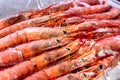 Frozen large raw uncooked shrimps on counter. Royalty Free Stock Photo