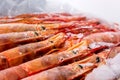 Frozen large raw uncooked shrimps on counter. Royalty Free Stock Photo