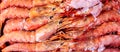 Frozen large raw uncooked shrimps banner background. Royalty Free Stock Photo