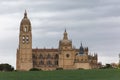 Amazing full view at the iconic spanish gothic building at the Segovia cathedral, tower dome and surrounding field vegetation