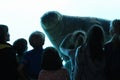 Amazing and giant manatee in the big blue water pool in front of children