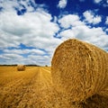 Amazing Golden Hay Bales Royalty Free Stock Photo