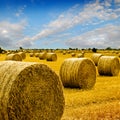 Amazing Golden Hay Bales Royalty Free Stock Photo