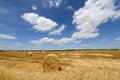 Amazing Golden Hay Bales Royalty Free Stock Photo