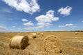 Amazing Golden Hay Bales Royalty Free Stock Photo