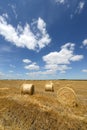 Amazing Golden Hay Bales Royalty Free Stock Photo