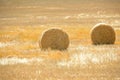 Amazing Golden Hay Bales Royalty Free Stock Photo