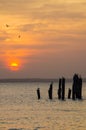 Amazing golden sunset over ocean with wooden poles and flying birds on Bubaque, Bijagos archipelago, Guinea Bissau