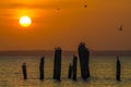 Amazing golden sunset over ocean with wooden poles and flying birds on Bubaque, Bijagos archipelago, Guinea Bissau Royalty Free Stock Photo