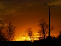 Amazing golden sunset, trees like on fire, Dolgoprudniy, Moscow, Russia