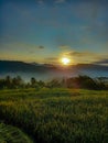 Amazing grass field landscape at sunrise Royalty Free Stock Photo