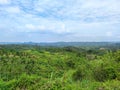 Amazing green lansape view from gayo, bring us fresh air