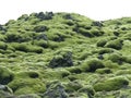 Amazing Green Mossy Lava Field in South Iceland, Background