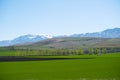 Amazing Grassland woods and snow mountains in spring