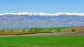 Amazing Grassland woods and snow mountains in spring