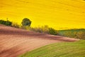 Amazing green and yellow rape spring fields Landscape. Agriculture Rural scene. Czech Moravia colza canola farmland bloom. Sunny Royalty Free Stock Photo