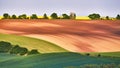 Amazing green and yellow rape spring fields Landscape. Agriculture Rural scene. Czech Moravia colza canola farmland bloom. Sunny Royalty Free Stock Photo