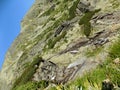 Amazing huge rocky mountains with plants, grass and moss