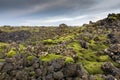 Iceland volcanic mossy landscape