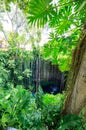Amazing Ik-Kil Cenote near Chichen Itza, Mexico Royalty Free Stock Photo
