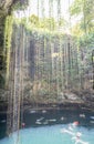 Amazing Ik-Kil Cenote near Chichen Itza, Mexico