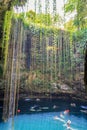 Amazing Ik-Kil Cenote near Chichen Itza, Mexico Royalty Free Stock Photo