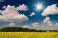 Amazing image sun,field and blue sky. Royalty Free Stock Photo