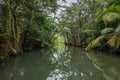 Amazing Indian river in Dominica near Roseau and Portsmouth