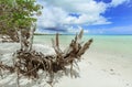 Amazing inviting nice view of wild beach and ocean landscape against blue sky background