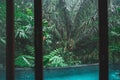 Amazing jungle view from hotel room with private swimming pool. Luxury spa Royalty Free Stock Photo