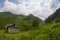 Here is Black Sea Region of Turkey, the mountains are Kackars. Royalty Free Stock Photo