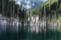 amazing Kaindy Lake in the Tien Shan mountains in Kazakhstan in summer. Mysterious lake with a sunken fir forest