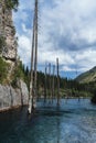 amazing Kaindy Lake in the Tien Shan mountains in summer in Kazakhstan on cloudy day. A mysterious lake with a sunken