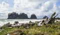 Amazing La Push Beach in the Quileute Indian reservation - FORKS - WASHINGTON Royalty Free Stock Photo