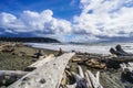 Amazing La Push Beach in the Quileute Indian reservation - FORKS - WASHINGTON Royalty Free Stock Photo