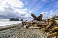 Amazing La Push Beach in the Quileute Indian reservation - FORKS - WASHINGTON Royalty Free Stock Photo