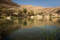 Amazing Lake and oasis with palm trees Wadi Bani Khalid in the Omani desert Royalty Free Stock Photo