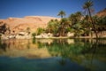 Lake and oasis with palm trees Wadi Bani Khalid in the Omani desert Royalty Free Stock Photo