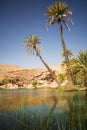 Lake and oasis with palm trees Wadi Bani Khalid in the Omani desert Royalty Free Stock Photo