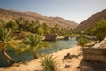 Lake and oasis with palm trees Wadi Bani Khalid in the Omani desert Royalty Free Stock Photo