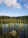 Amazing Lakeside View - Finland