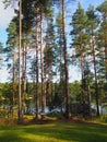 Lakeside Living with Hammock - Finland Royalty Free Stock Photo