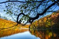 Autumn in Plitvice Jezera Lakes Park, Croatia