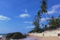 Amazing landscape with a beach and palm trees. Thailand Samui.