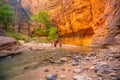 Amazing landscape of canyon in Zion National Park, The Narrow