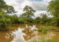 Amazing landscape of green savannah and river in Kruger national park