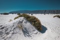 Amazing landscape with gypsum dunes in the middle of the desert with shades in the white and green sand of the little vegetation Royalty Free Stock Photo