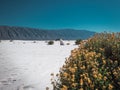 Amazing landscape with gypsum dunes in the middle of the desert with shades in the white and green sand of the little vegetation Royalty Free Stock Photo